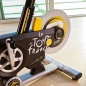 -  PRO-FORM TDF 5.0