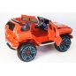   RiverToys Mercedes Merc E333KX