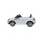   Rastar Land Rover Evoque