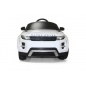  Rastar Land Rover Evoque