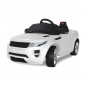   Rastar Land Rover Evoque