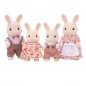   Sylvanian Families   