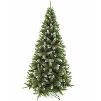   Triumph Tree  