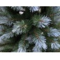   Triumph Tree  