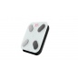    Picooc Mini