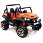     RiverToys Buggy T009TT