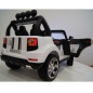     RiverToys BMW T005TT