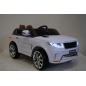     RiverToys Range Rover Sport E999KX