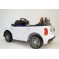     RiverToys Miniooper C111CC