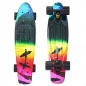   Y-Scoo Fishskateboard Offshore