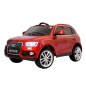     RiverToys Audi Q5