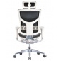     Falto Expert Star STL01-G