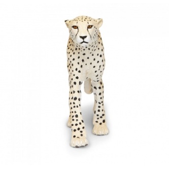   Safari  XL