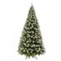     Triumph Tree   155 