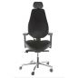   Falto Smart-T (Limited edition)