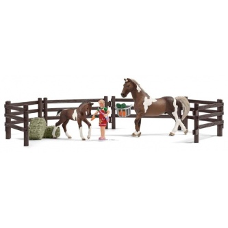   Schleich  