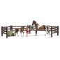   Schleich  
