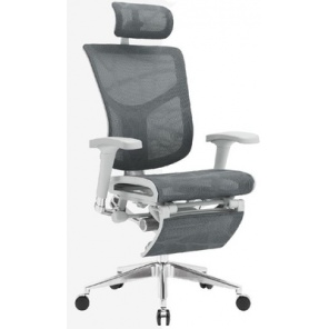  Expert Star RST-01G