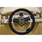  RiverToys Mercedes-Benz 300S  