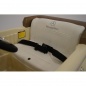  RiverToys Mercedes-Benz 300S  