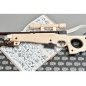    Targ AWP