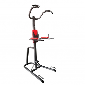  - DFC Power Tower Homegym G610