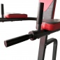  - DFC Power Tower Homegym G610