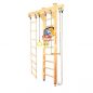   Kampfer Wooden Ladder Ceiling Basketball Shield