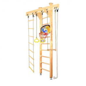   Wooden Ladder Ceiling Basketball Shield