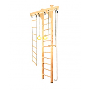   Wooden Ladder Ceiling