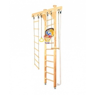   Kampfer Wooden Ladder Ceiling Basketball Shield 3 