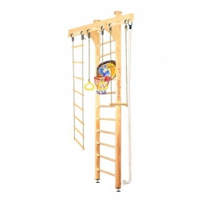   Wooden Ladder Ceiling Basketball Shield 3 