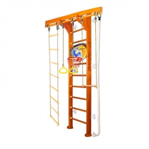   Wooden Ladder Wall Basketball Shield