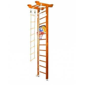   Kampfer Little Sport Ceiling Basketball Shield 3 