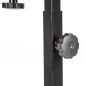   Ortonica  1250 , 