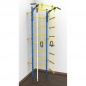   Rokids -