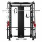      DFC Powergym D822