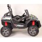  RiverToys Buggy T888TT 