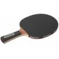  Donic Waldner 3000