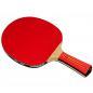  Donic Waldner 1000
