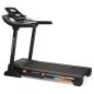    Svensson Body Labs Physioline TDX Touch