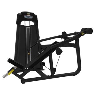     Bronze Gym LD-9013