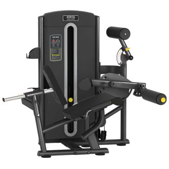    Bronze Gym M05-013
