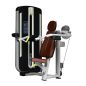 - Bronze Gym MNM-003A
