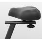   Carbon Fitness Assault Bike A808