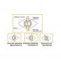   Riester Ri-scope slit 3410-3783