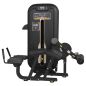    Bronze Gym MZM-013
