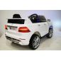  RiverToys Mercedes Benz ML350