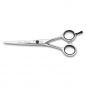   3Claveles Azabache 12791
