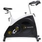  VictoryFit VF-GymRider 230